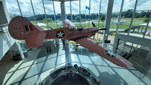 Růžový Curtiss P-40 Warhawk